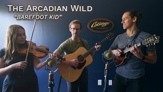 The Arcadian Wild perform \