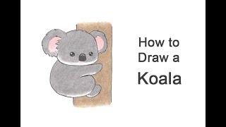 How to Draw a Koala (Cartoon)