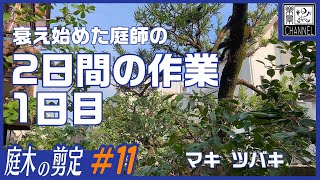 庭師の仕事　体力の衰えが隠せない庭師の2日間の作業