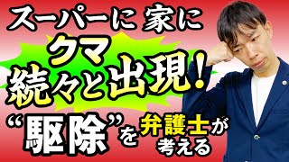 クマや野生動物“駆除”へのクレームは問題ない？そもそも駆除って合法なの？アディーレの弁護士が徹底解説！