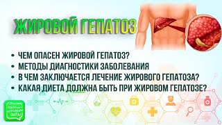 Жировой гепатоз | В чем заключается лечение жирового гепатоза?