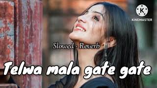 Telwa mala gate gate (Slowed + Reverb)। तेलवा मल दे। Khesari Lal Yadav। Bhojpuri Lofi Song।