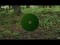 bears dancing in the forest 4k uhd planet earth ii bbc earth