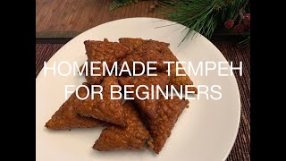 Homemade Tempeh For Beginners