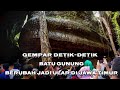 melihat langsung detik-detik batu gunung berubah jadi ular di jawa timur