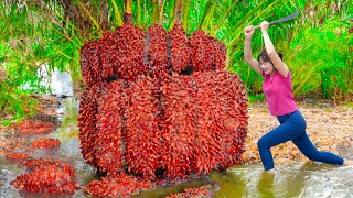 WOMAN Harvesting Forest Sea Cucumber - The sea cucumber attacked me with its spines