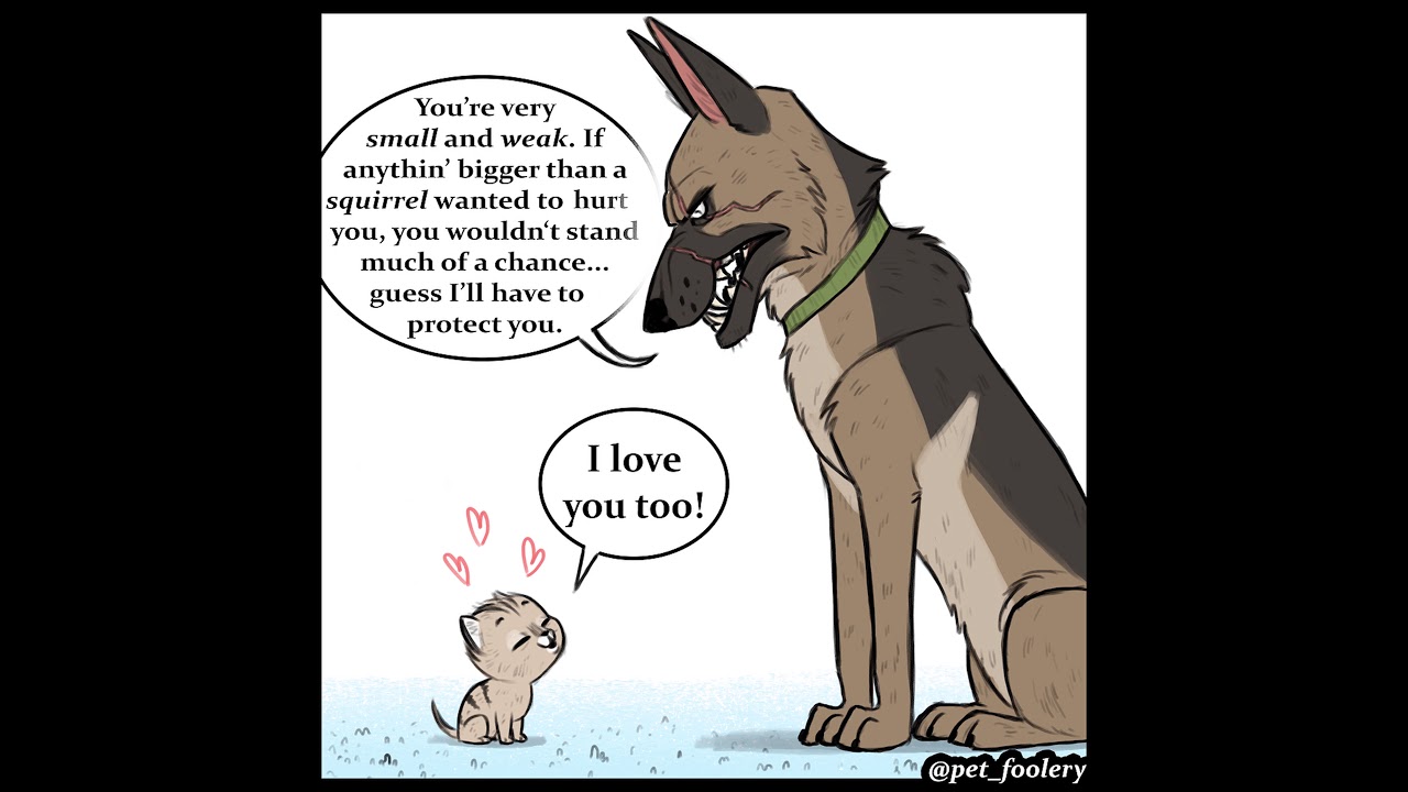 Brutus Pixie Youtube