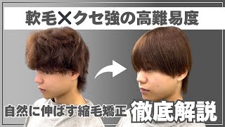 【メンズ縮毛矯正】軟毛で強い癖毛の自然な縮毛矯正のやり方徹底解説！！