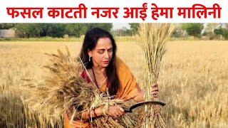 Hema Malini का फसल काटने वाला वीडियो वायरल, न्यूज पथ में देखें खबरें और भी