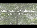 The Gift of Mindfulness: Mindfulness Meditation