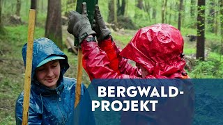 Verantwortungsbewusst für den Bergwald | Schweizer Jugendherbergen