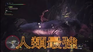 【MHWベータ】リヴァイ斬りで尻尾切断\u0026トドメさしてみた【モンハンワールド】