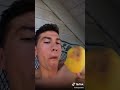 mango on a fork original meme full clip hd 1080p 60 fps