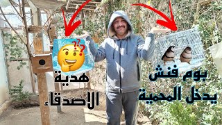 جولة في سوق الغزل 🚶وفنشات جديدة تدخل المحمية 😍