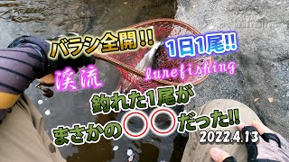 バラシ全開!!　1日1尾!!　釣れた1尾がやばかった!!