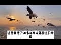 我今年52歲，帶著小女友和她閨蜜出去旅遊，酒店 江湖李白 x調查 wayne調查 情感 情感故事 家庭倫理 婚姻 小说 故事