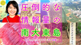 【南大東島②】南大東島を「圧倒的な情報量で」観光したら、海が美らすぎ！宴会で爆笑！あの生き物に出会えてでーじ感動！〈PR〉【沖縄観光/南大東】