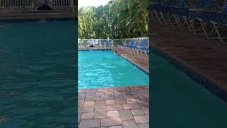 Enoch swimming at Crystal palm beach resort treasure island Florida Aug 2024