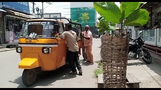 கோவை மாநகரை பசுமையாக்கும் 'பசுமை தொடர்ச்சி' அமைப்பினரின் தன்னிகரில்லா சேவை..!