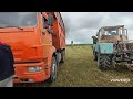 haylage chopping. Сенаж 2022. Палессе КДП 3000