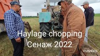 Haylage chopping. Сенаж 2022. Палессе КДП-3000