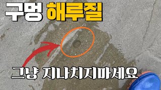 갯벌에 타원형 구멍속 맛있는 안주가 숨어있다고...?