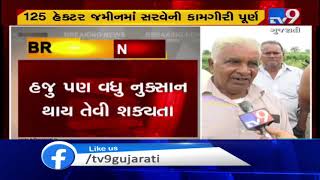 Survey for damaged crops in Surat's Olpad, concludes | TV9GujaratiNews