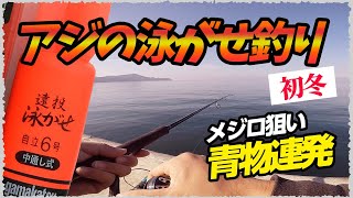 青物連発！メジロ狙いでノマセ釣り　【泳がせ釣り　飲ませ釣り】