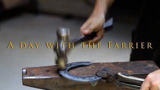 A Day With The Farrier