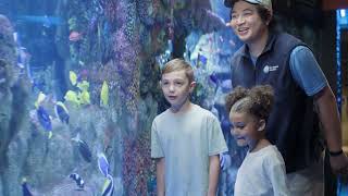 Proverb Agency | Dive Deeper Campaign Video | NEAQ