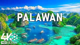 DISCOVER PALAWAN  • Unforgettable Destinations to Visit • 4K Ultra HD Video