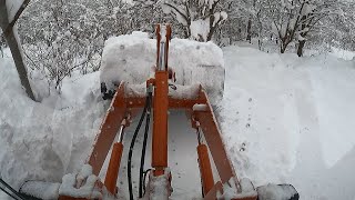 24 25 シーズン  タイヤショベルの除雪 ２ ZW40車内から🌈  #ホイールローダー