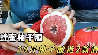 用20斤红柚在家自酿蜂蜜柚子酒，柚子蒸馏酒，清汁发酵3天成酒