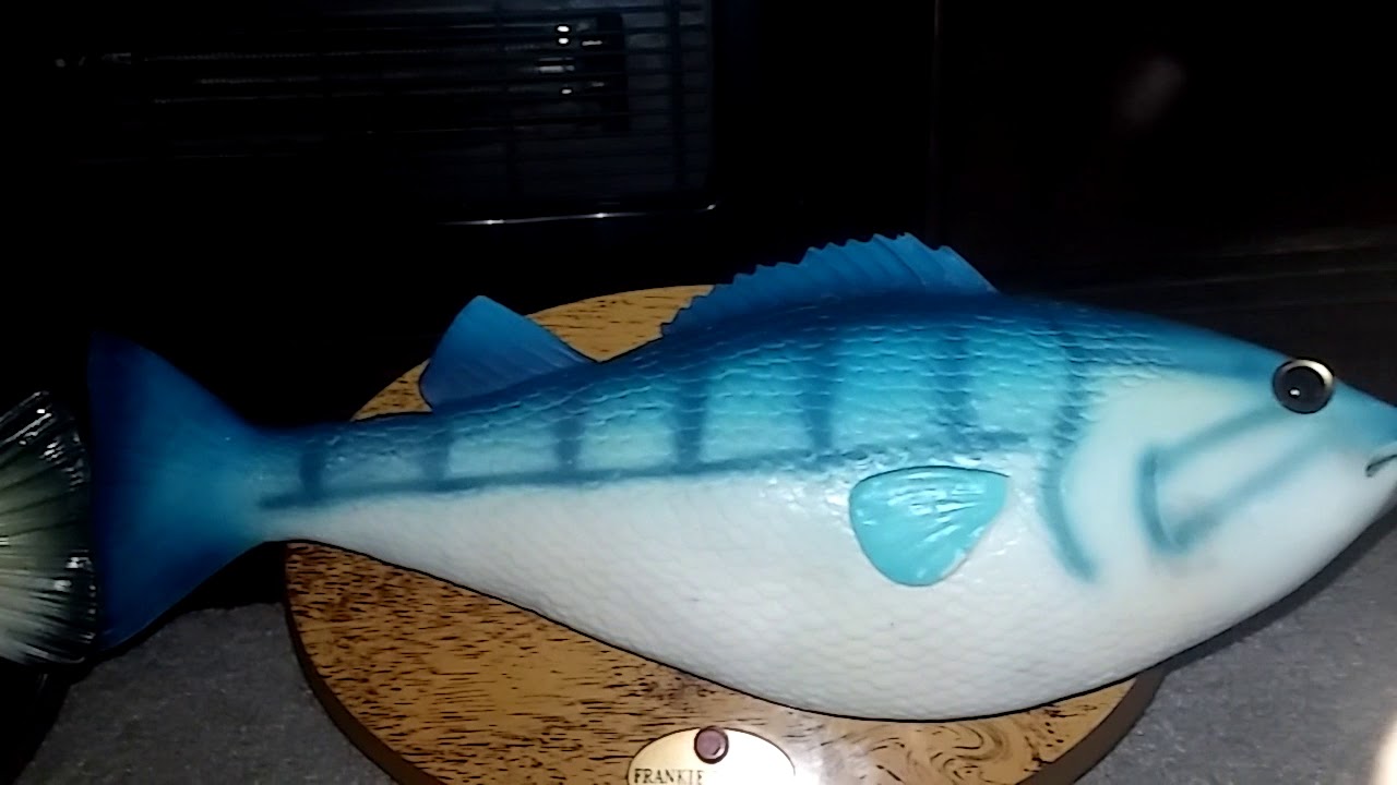 My Singing Fish Collection Youtube