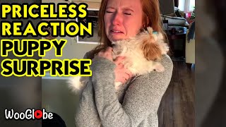 Emotional Wife Reaction To Puppy Surprise - Heartwarming Moments