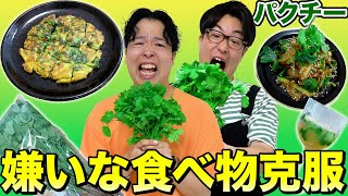 【好き嫌い克服】パクチー嫌いの兄弟に美味しいパクチー料理を作って克服させちゃおう！！