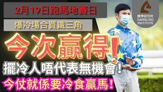 【賽馬貼士】2月19日 爆冷場合買鐵三角｜今次贏得！｜擺冷人唔代表無機會！今仗就係要冷食贏馬！