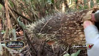 Anglers Inn Amazon - Jungle Trek Be Aware