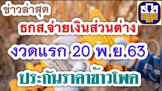 ธกส.เตรียมจ่ายเงินช่วยเหลือเกษตรกรผู้ปลูกข่าวโพดเลี้ยงสัตว์ ปี 63/64 งวดแรก 20 พ.ย.63