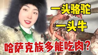 【驰娜尔】 草原哈萨克族多能吃肉？一间屋子价值好几万，囤下一头骆驼一头牛