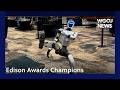 Edison Awards Champions