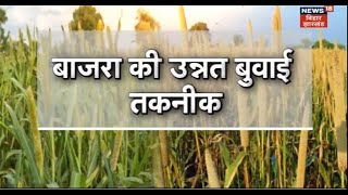 Annadata | बाजरा की उन्नत बुवाई तकनीक जानने के लिए देखि ये रिपोर्ट | Latest News | Agriculture