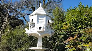 My Dovecote