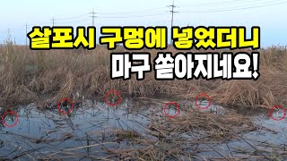 가온[붕어보트낚시]Ver134. 쓰러진 부들속에 붕어가 득실득실!