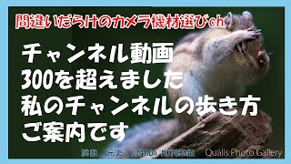 間違いだらけのカメラ機材選びch 「チャンネル動画300を超えました私のチャンネルの歩き方ご案内です」