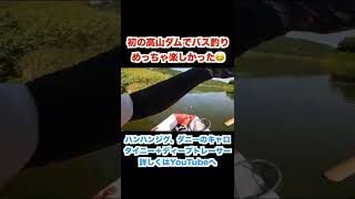 高山ダムでバス釣り