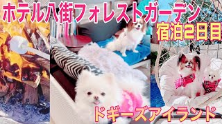 犬旅【ドギーズアイランド (旧ホテル八街フォレストガーデン】2日目とドギーズアイランドで【焼きマシュマロ】体験♪　#さかがみ動物王国　#ドギーズアイランド