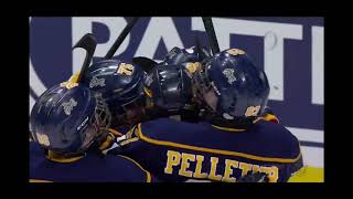 Commandeurs Pointe-Lévy AA - Champions du Tournoi Peewee Québec 2019