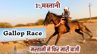 मस्तानी ने मारी बाजी | Gallop Race | 16 number रहा दूसरे स्थान पर | 3 नंबर रॉकेट | त्रगड़ी पट्टी |