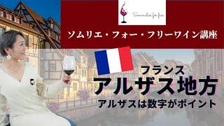 アルザス編【2023年 Sommelier for free ワイン講座】